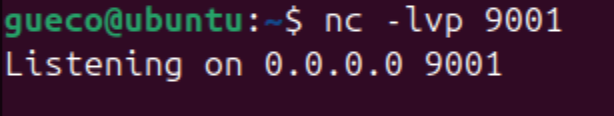 Netcat escuchando