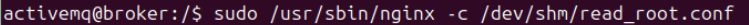 Ejecutando Nginx