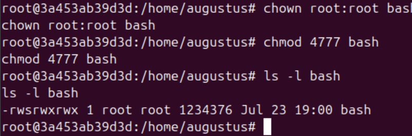 Configurando bash