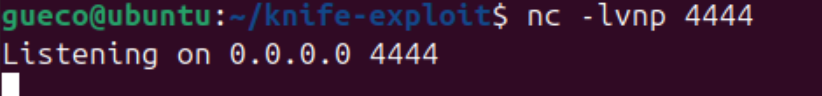 Reverse Shell iniciada